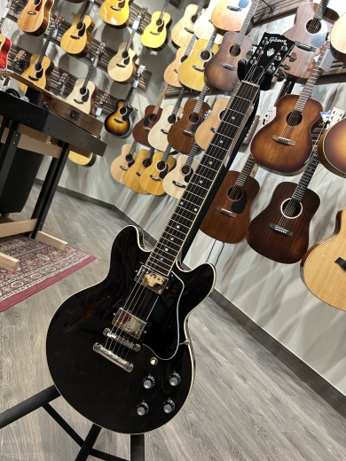 Store Special Product - Gibson - ES-339 TRANS EBONY W/C